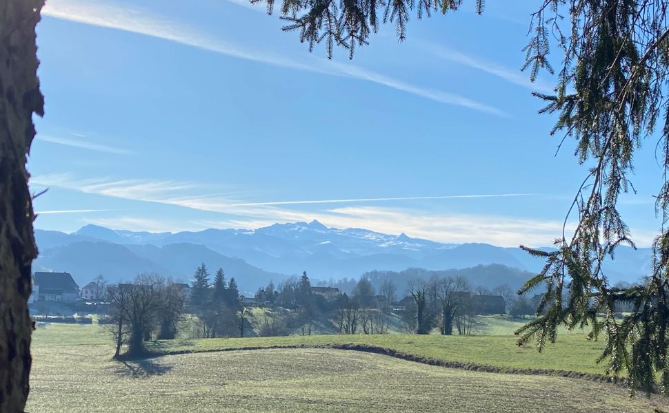 Belle Maison Souletine à la Lisière du village avec Vue Dégagé des Montagnes